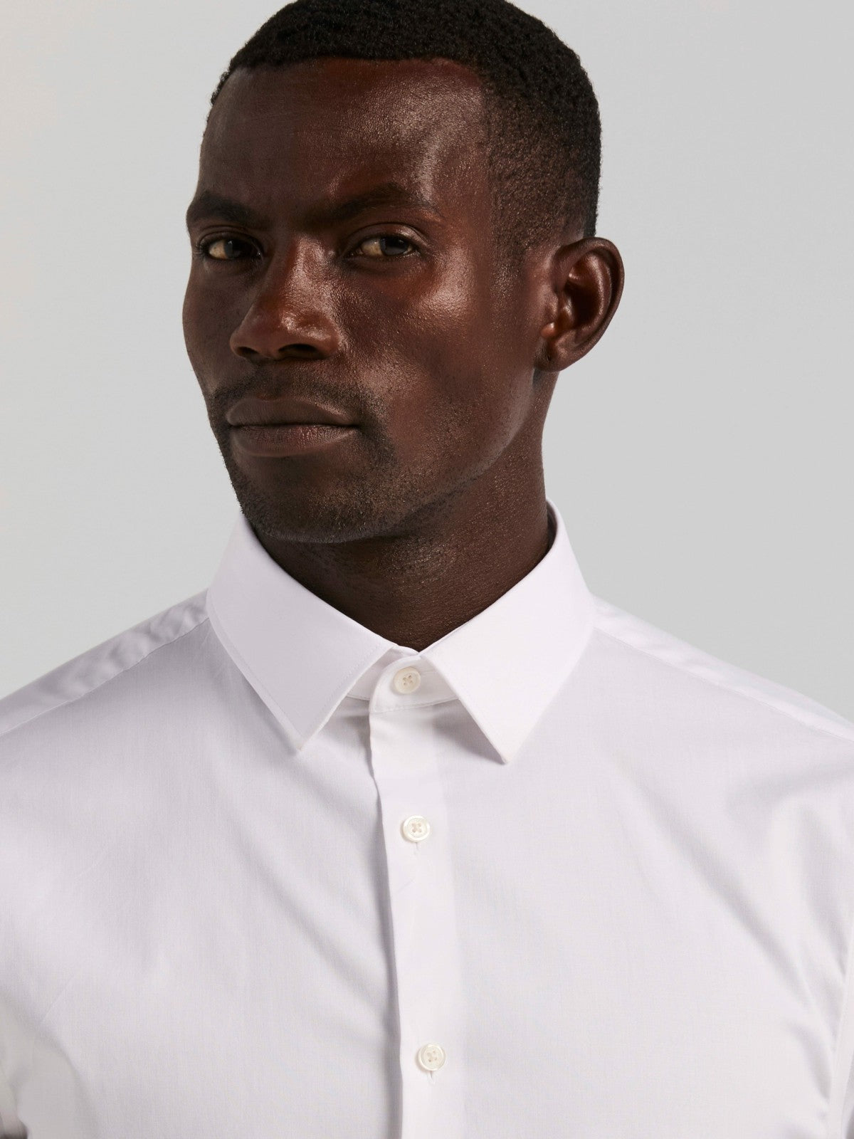 Perry Ellis Suits Cotton Blend Slim Fit Dress Shirt