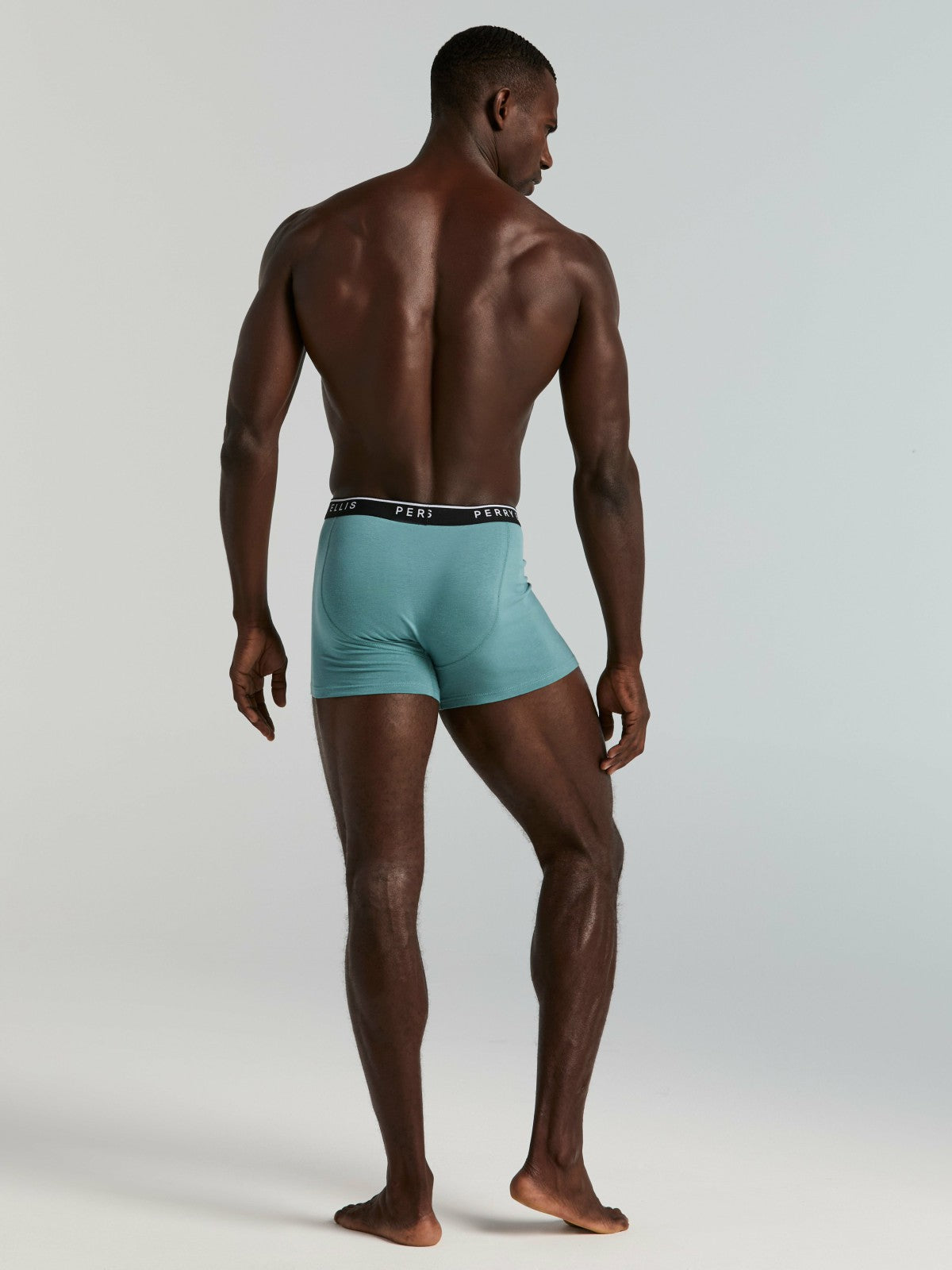Perry Ellis Clothing 4-Pack Cotton Stretch Boxer Brief