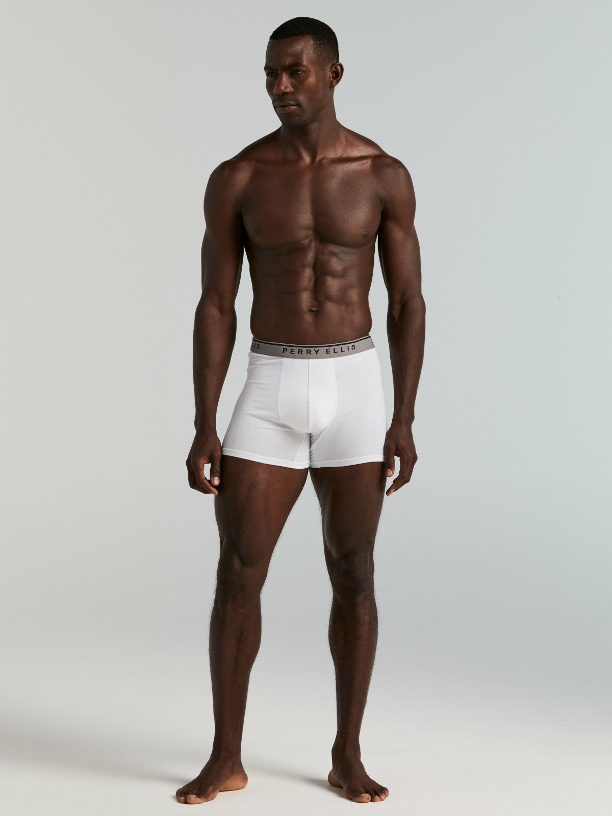 Perry Ellis Clothing 4-Pack Cotton Stretch Boxer Brief