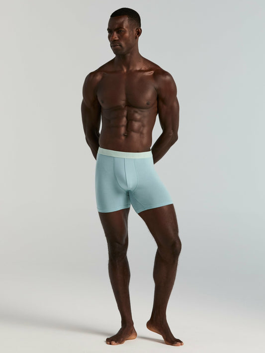 Perry Ellis Clothing 4-Pack Soft Viscose Boxer Brief