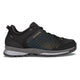 Anthracite/Bronze